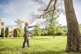 Best Tree Health Inspection  in Normandy Park, WA
